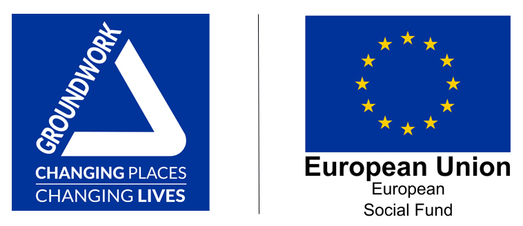 ESF-Community-Grants-logo-lock-up